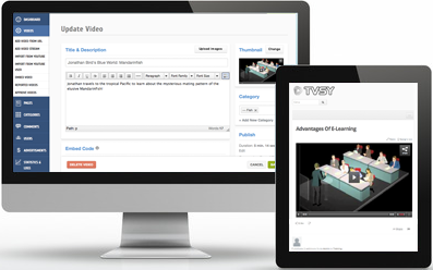 video cms, video archive management